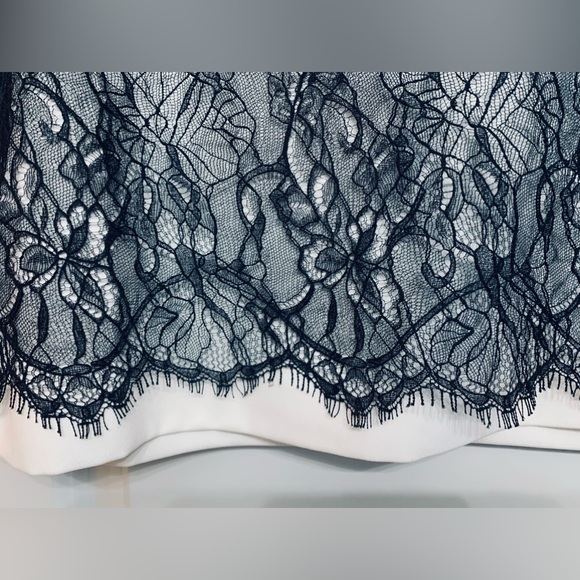 ANN TAYLOR Black Lace Pencil Skirt - Picture 3 of 8